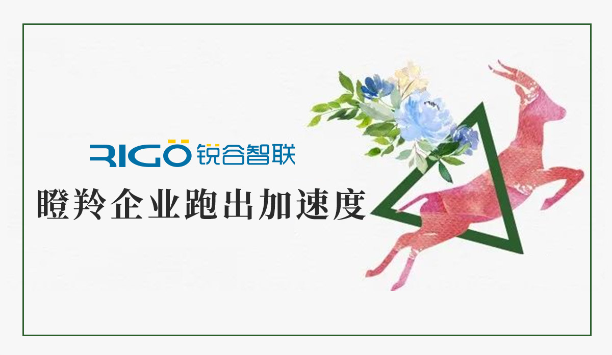 火炬高新區(qū)助力“瞪羚”企業(yè)跑出加速度，超半數(shù)分布廈門軟件園