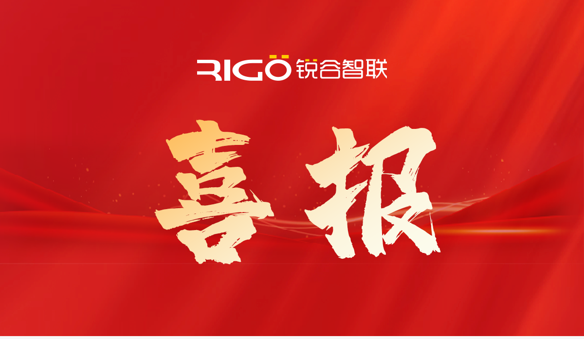 銳谷智聯(lián)喜獲2024年第二批軟件和新興數字產業(yè)政策資金支持！